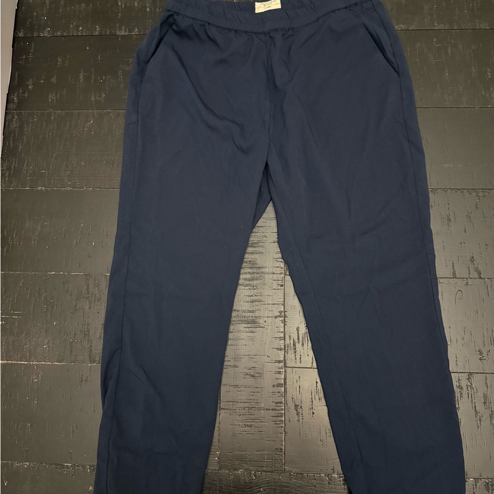Marine Layer Blue Joggers Elastic Waistband Cotton Blend